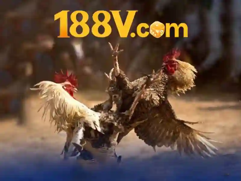 play for free best slot machine games