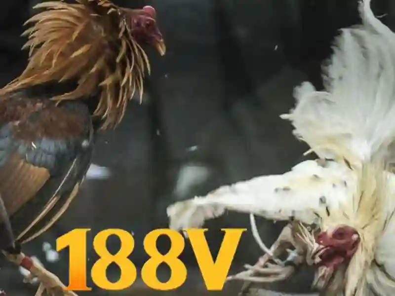 188V - 188v uy tín không - bắn cá 188v