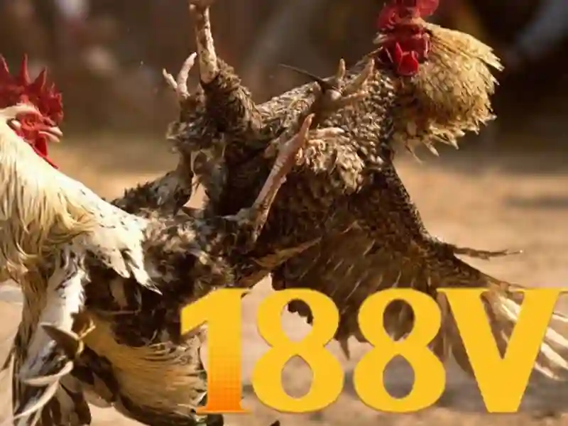  sân chơi 188v - 188V - www.keystonedogtraining.com